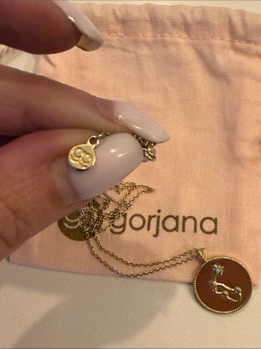 Gorjana Aquarius Gold Zodiac Disc Necklace - Picture 4 of 4